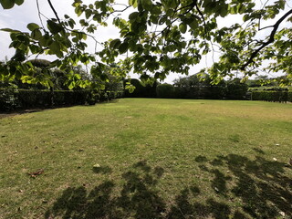 知覧の武家屋敷の庭園、鹿児島