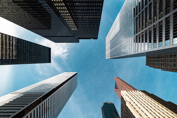 Fototapeta na wymiar Toronto Skyline looking up