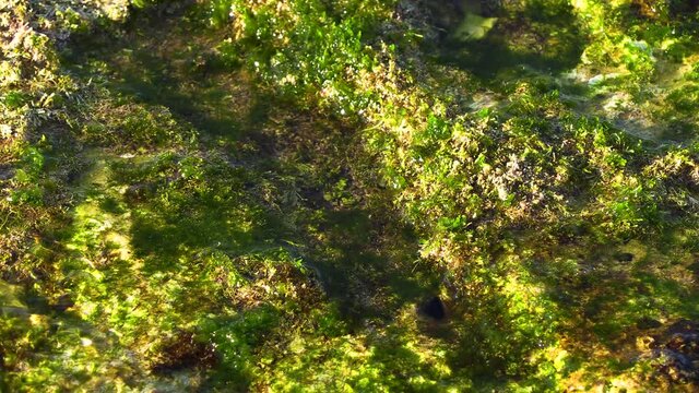 Giochi di acqua
