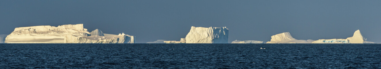 Antarctic icebergs