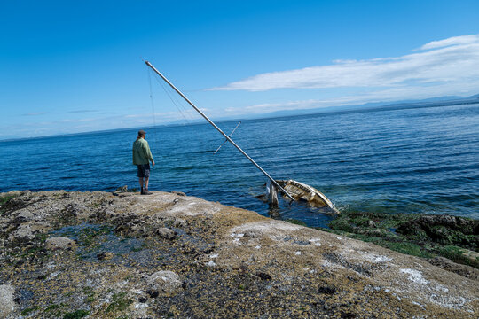 A man ponders a shipwrecked sailboat washed up on a remote island in the San Juan Islands