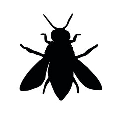 Vector hand drawn bee silhouette isolated on white background