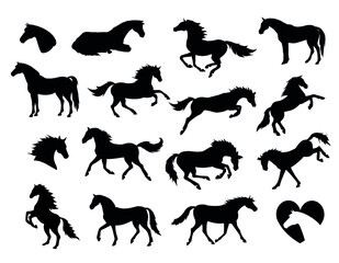 Vector set bundle of hand drawn horse silhouette isolated on white background