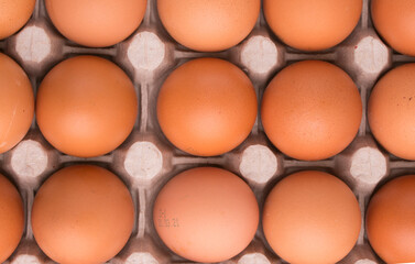 egg packaging background texture