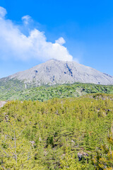 Fototapeta premium 有村溶岩展望所から見た桜島 鹿児島県鹿児島市 Sakurajima seen from Arimura Lava Observatory Kagoshima-ken Kagoshima city