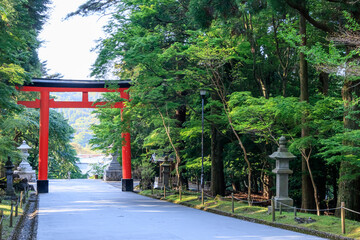 霧島神宮　参道　鹿児島県霧島市　Kirishima Jingu Approach Kagoshima-ken Kirishima city