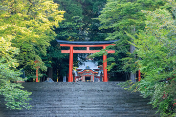 霧島神宮　鹿児島県霧島市　Kirishima Jingu Kagoshima-ken Kirishima city