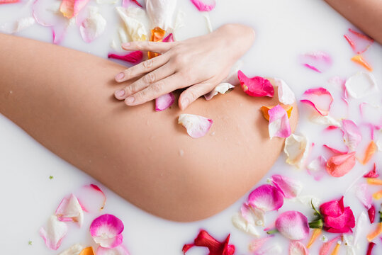 partial view of young woman enjoying bathing in milk with rose petals.