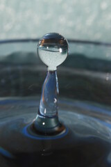 Gota