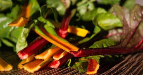 acelgas organicas de colores