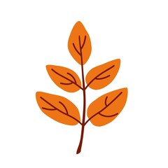 Orange autumn leaf. Vector simple flat drawing on an isolated background. An element of autumn decor.