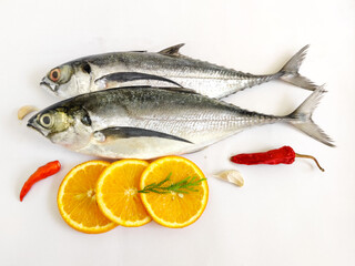 Close up view of Fresh Finletted Mackerel Fish or Torpedo Scad Fish Isolated on White background,Selective focus.