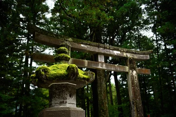Tuinposter Japanese style stone lanterns are covered with green moss to make them look old and magical, the background is a Torii temple gates and trees in the shady forest at a temple in Nikko, Japan. © Lowpower