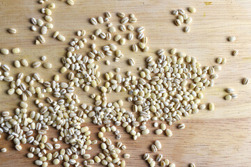 christmas tree decoration