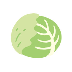 食べ物_食材_野菜_キャベツ_線無し