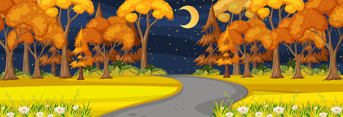 Autumn season with road through the park at night time horizontal scene