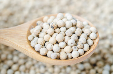 Dried white peppercorn seeds.