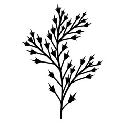 Vector illustration of a plant branch with thorns. Hand-drawn thin outline, black doodle. Botanical element, plant silhouette isolated on white background