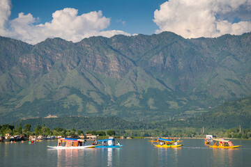 Beautiful nature of Dal Lake (Kashmir, India)