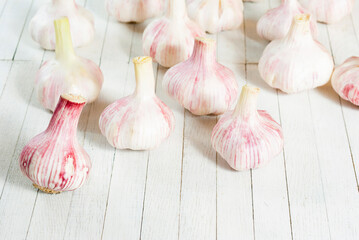 Garlic
