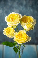 バラの花　室内スタジオ撮影