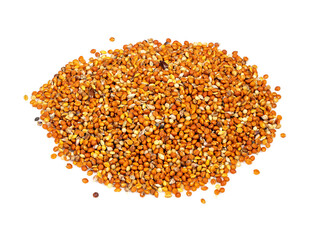 handful of chumiza siberian millet seeds on white