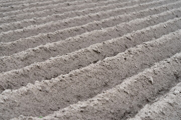 plowed field