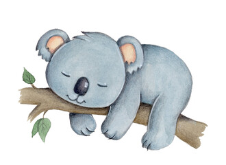 Cute cartoon little koala sleeping on tree, wild animal. Watercolor hand drawn art, sketch, illustration. Isolated. © Yelena