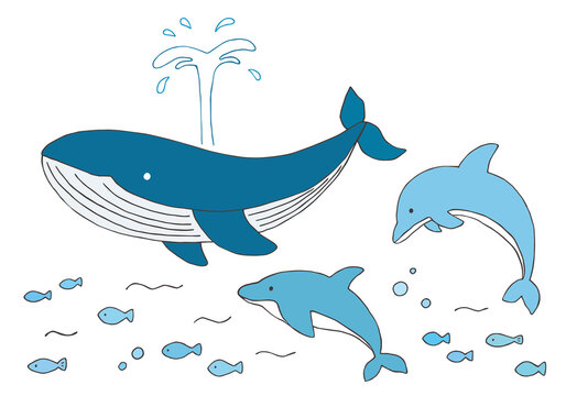 クジラとイルカの手描きイラストセット（カラー）