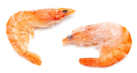 Frozen red shrimps on a white plate.