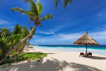 Sunny beach with coco palms, umbrella and beach sunbeds, tropical sea in Caribbean island. Fashion travel and tropical beach concept.