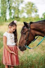 Obraz premium Emotional contact with the horse. Horse riding. The girl rides a horse in the summer.