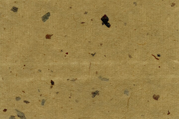 Fototapeta na wymiar 和紙テクスチャー背景(薄茶色) 皮模様が入った焦茶色の和紙