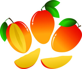Vector set: mango. Appetizing, fresh, juicy,  vitamin, sunny yellow and orange colors whole fruits with green leaves and slices. Elements for design card, poster about summer, healthy and tasty food.