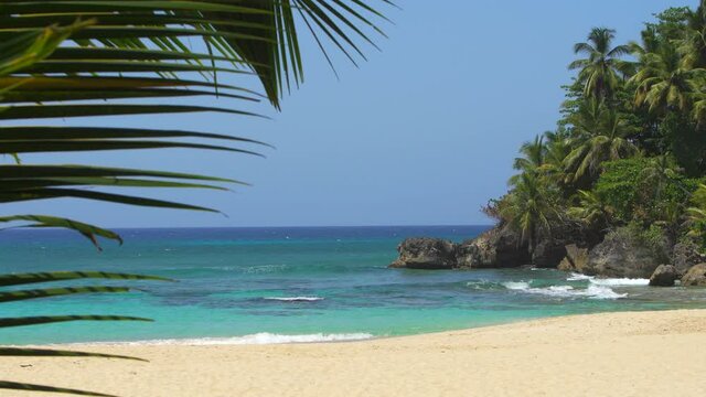 View of the amazing wild tropical beach through a palm leaf. Waves break about overgrown rocky cape with palm trees
