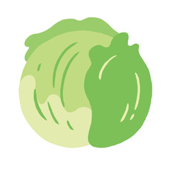 食べ物_食材_野菜_レタス_線無し