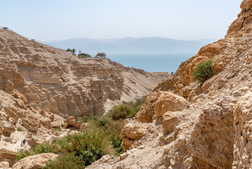 Fototapeta na wymiar Beautiful scenic Ein Gedi National Park in southern Israel near the Dead Sea