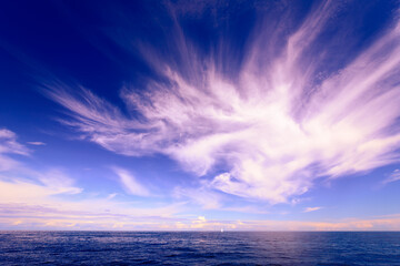 Obraz premium White sailboat sails on the horizon across the water on a cloudy day. Wide angle view