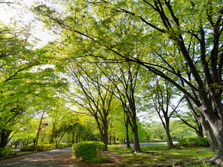 猿江恩賜公園　東京都
