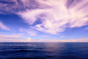 Fototapeta premium White sailboat sails on the horizon across the water on a cloudy day