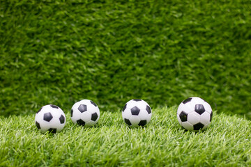 Soccer balls are on green grass