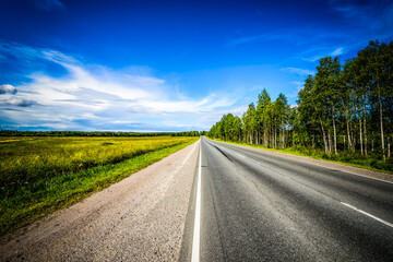 Fototapeta premium Straight country road passing through a field. View from the road