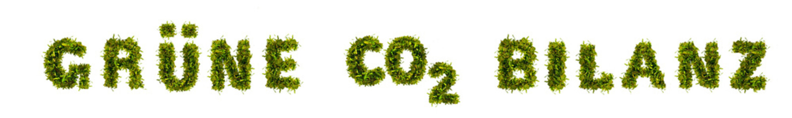 grüne CO 2 Bilanz