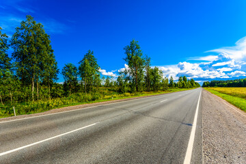 Fototapeta premium Straight country road passing through a field and forest. View from the road