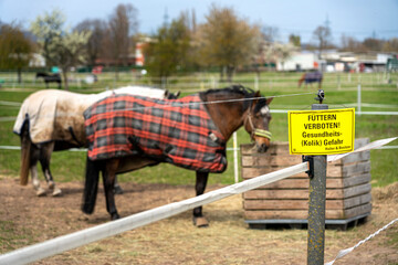 Füttern verboten an der Pferdekoppel