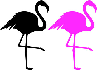Vector illustration of the flamingo
