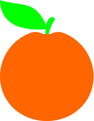 Vector illustration of the orange