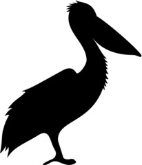 Vector illustration of the pelican silhouette