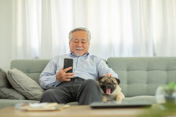 Happiness elderly asian man sitting on sofa and using mobile phone and smile with dog pug breed at cozy home,Portrait of wellness senior man enjoying retirement at home concept