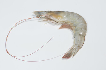 raw shrimp on white  background . fresh shrimp prawns for cooking